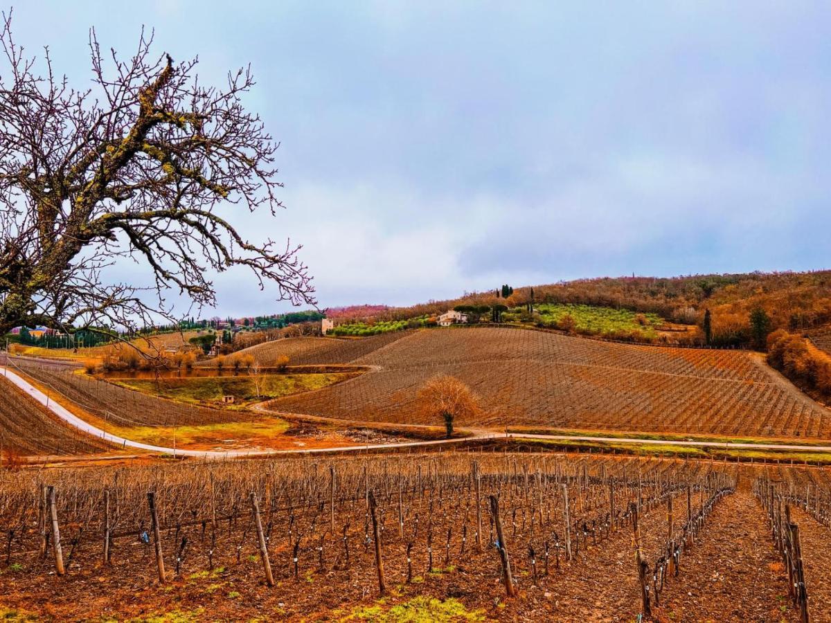 Locanda Podere Le Vigne Radda in Chianti Ngoại thất bức ảnh