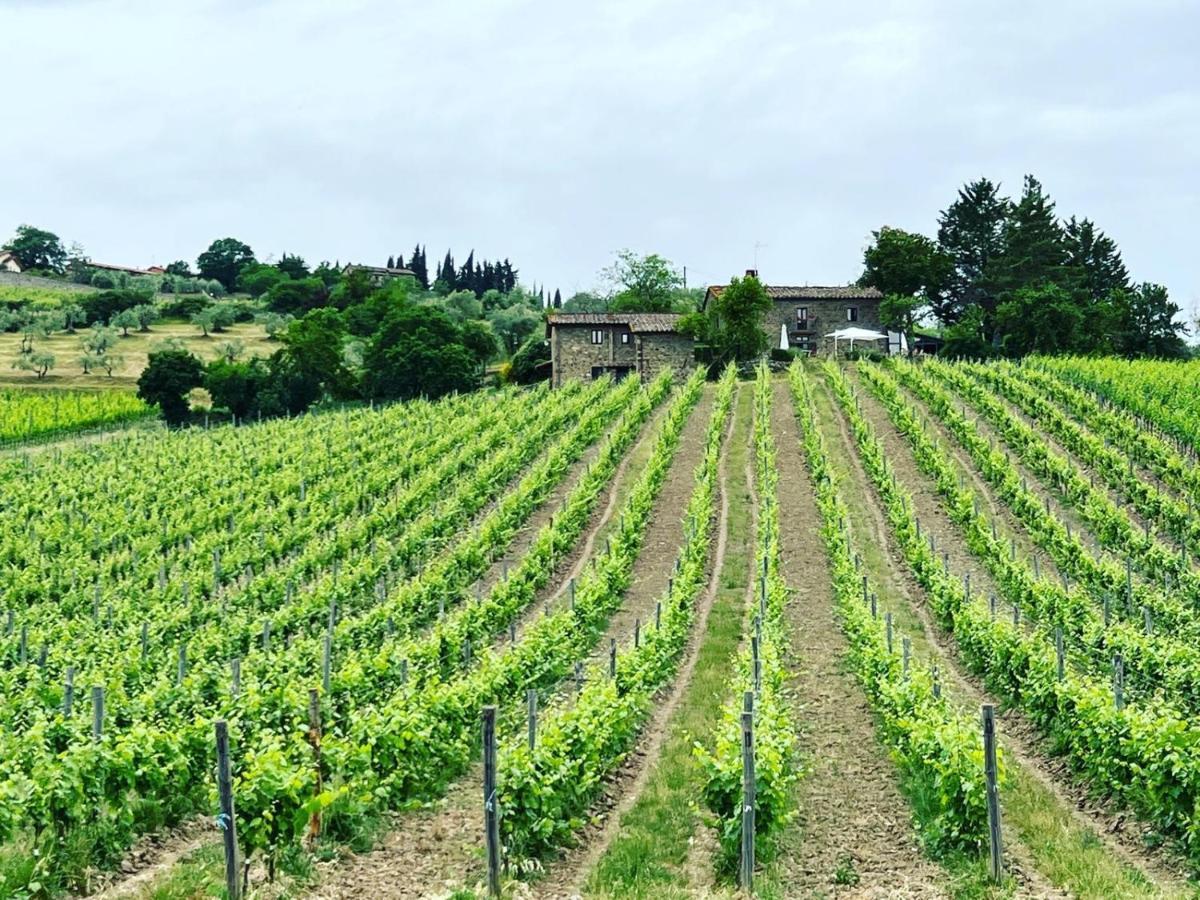 Locanda Podere Le Vigne Radda in Chianti Ngoại thất bức ảnh