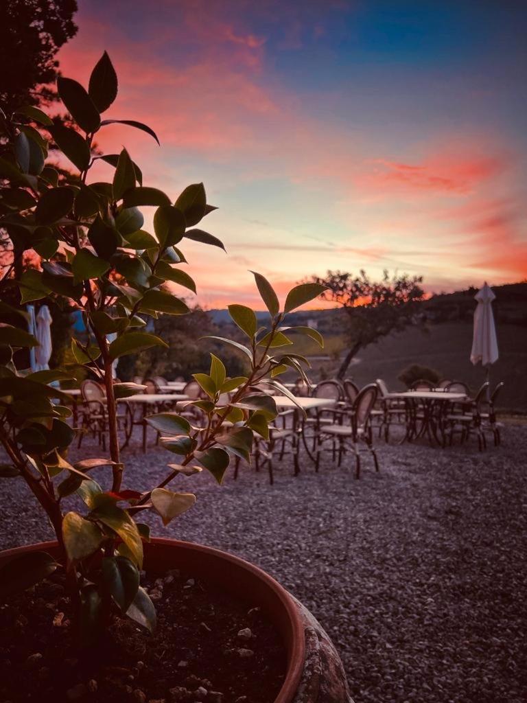 Locanda Podere Le Vigne Radda in Chianti Ngoại thất bức ảnh